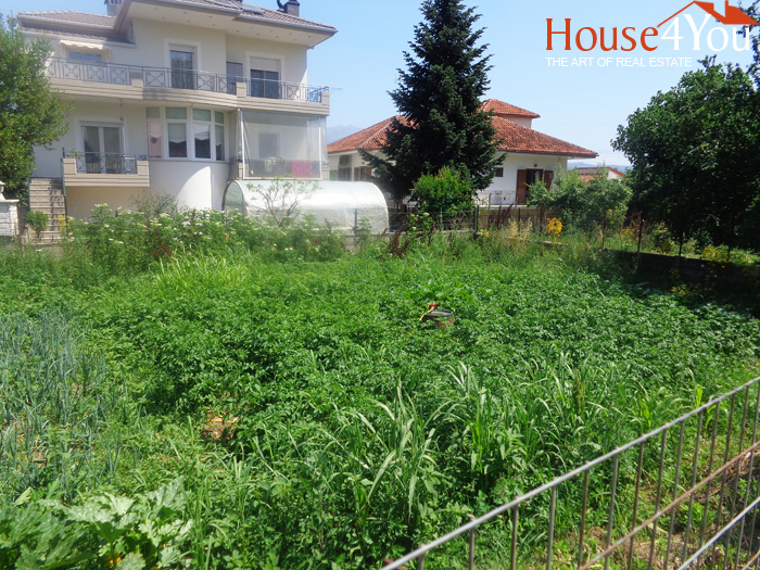 Πωλείται γωνιακό οικόπεδο 343τμ. με ΣΔ. 0.8 στην κεντρική πλατεία της Πεδινής στα Ιωάννινα