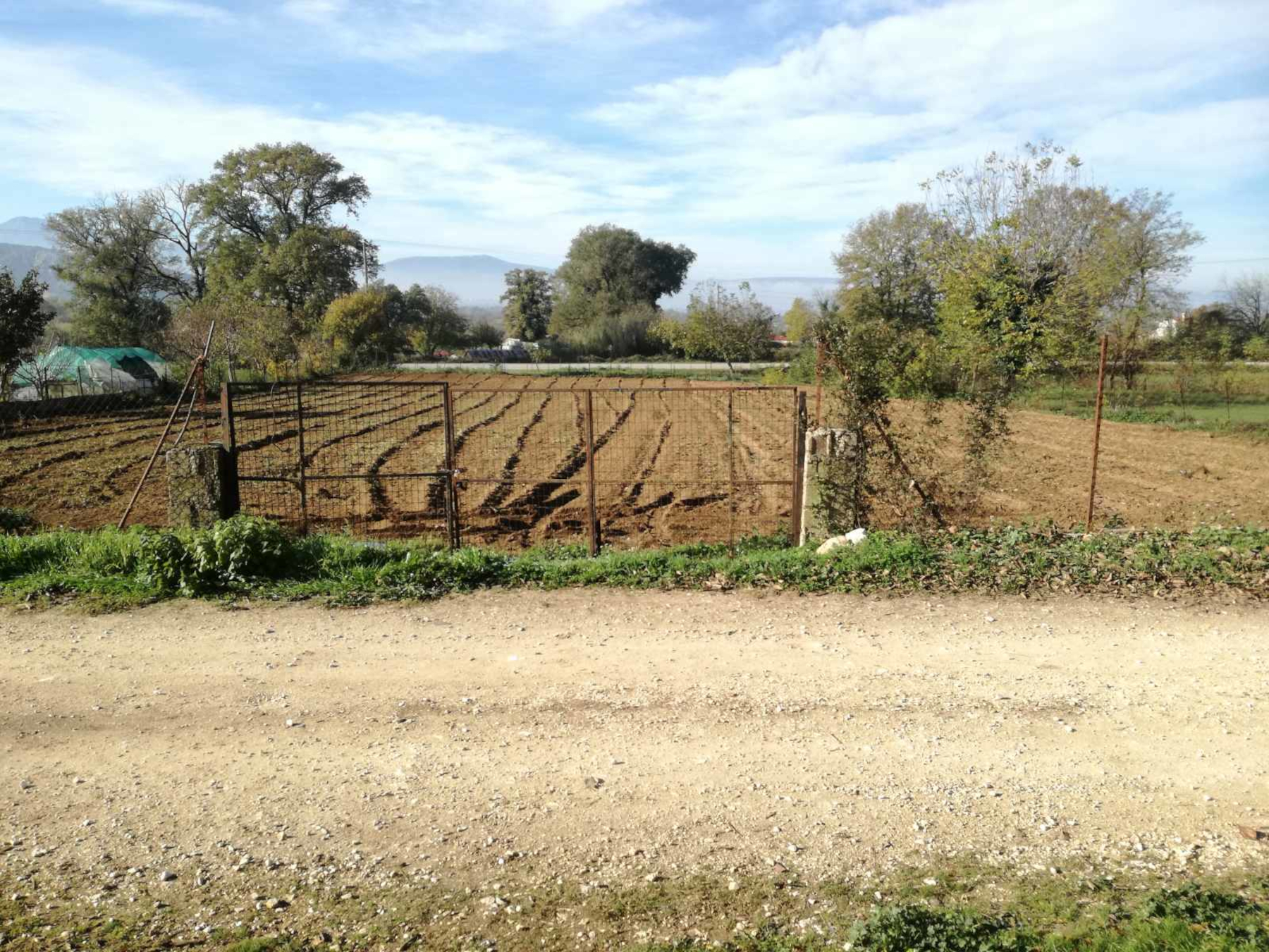 For sale a plot of 2,518 sq.m. even and buildable at the entrance of Loggades, Ioannina