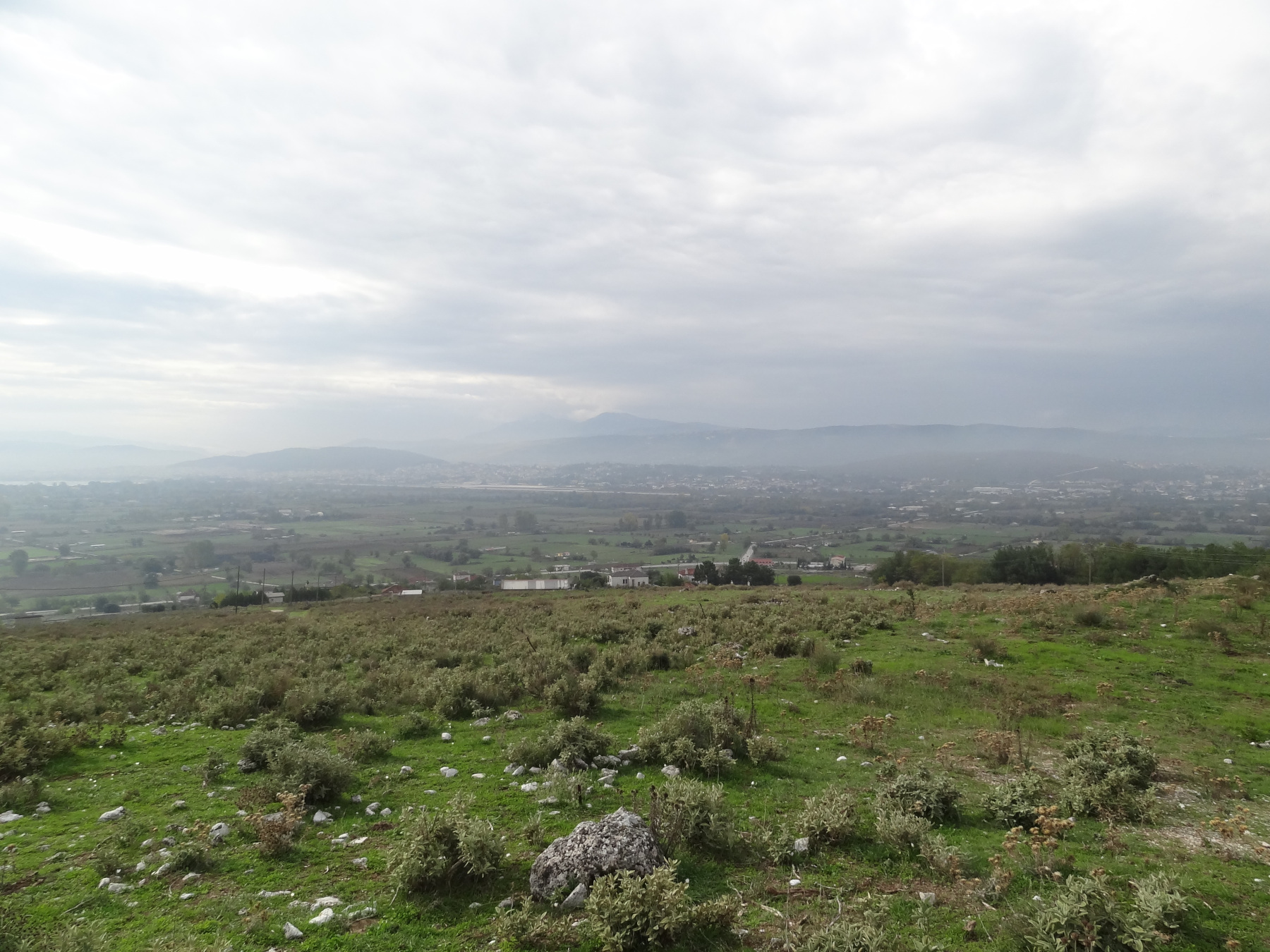 For sale a plot of 4003 sq.m. even and buildable in Krya Ioannina with amazing views