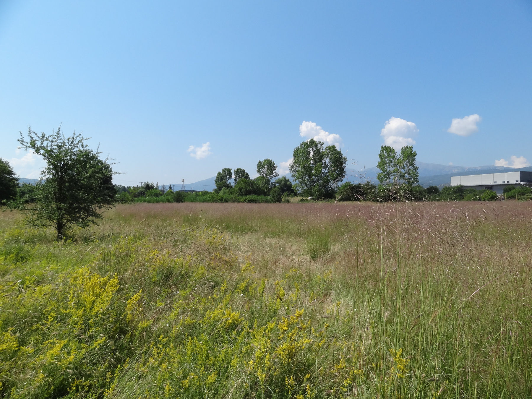 For sale a plot of 4,961 sq.m. near the Panepirotic Stadium of Ioannina next to the National Road Ioannina - Athens
