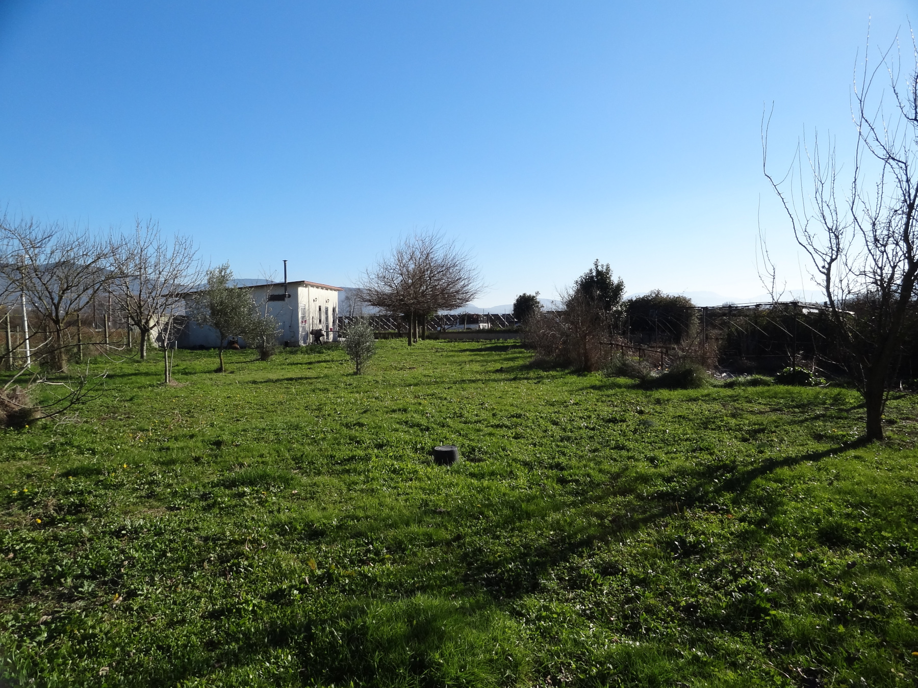 Plot of land 1516 sq.m. for sale. with a warehouse of 60 sq.m. in the Basilici of Ioannina on the road Katsika - Loggadon