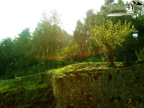 Πωλείται οικόπεδο 781 τμ. στον Φρόντζο στην περιοχή της δεξαμενής στα Ιωαννίνα