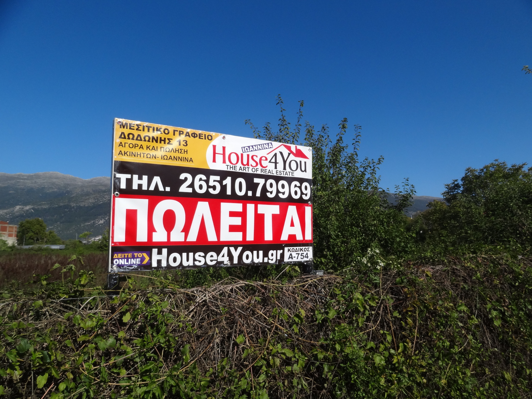 For sale a unique plot of 17 acres in the area of Molos in Ioannina