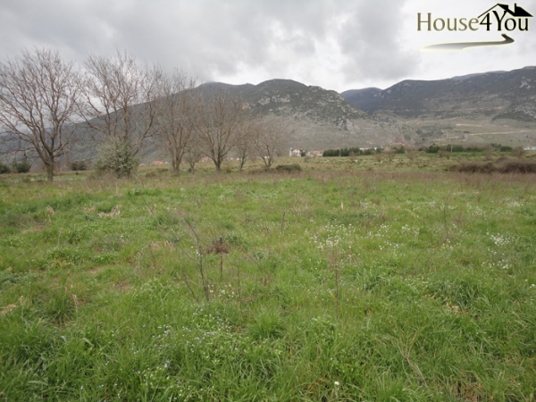 Πωλείται αγροτεμάχιο 4005 τμ. στην Κρύα Περάματος