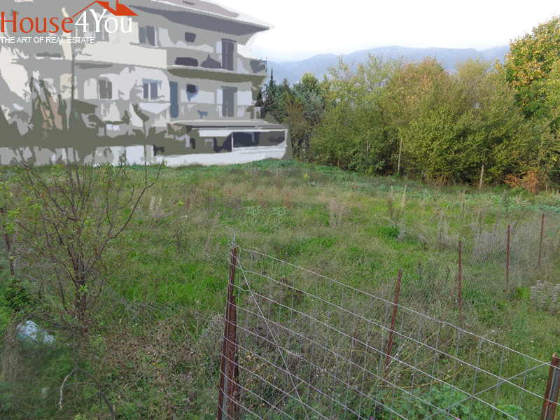 Πωλείται οικόπεδο 383 τμ. με ΣΔ. 0.5 στην Νέα Ζωή Ιωαννίνων